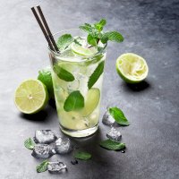 Mojito – Evgeny Karandaev / Shutterstock
