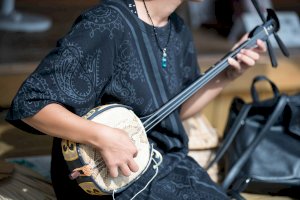 Šamisen – 9Air / Shutterstock