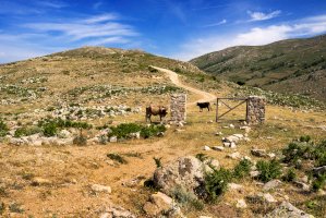 Pohoří Gennargentu – Alessio Orru / Shutterstock