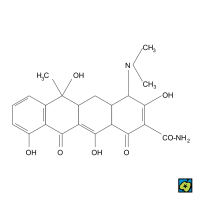 Tetracyklin, strukturní 2D vzorec – CoJeCo.cz (CC BY-SA 4.0)