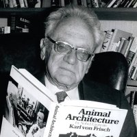 Karl von Frisch – fair use