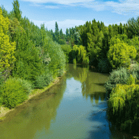 Řeka Chubut – Steve Heap / Shutterstock