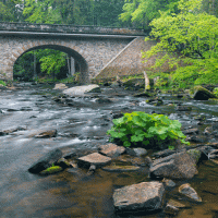 Řeka Orlice – Richard Semik / Shutterstock