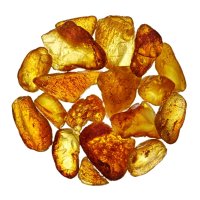 Jantar – Sergey Skleznev / Shutterstock