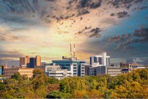 Gaborone – Lucian Coman / Shutterstock
