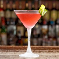 Cosmopolitan – Shyripa Alexandr / Shutterstock