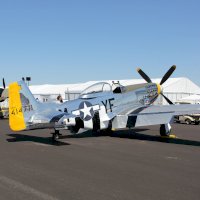 North American P-51 Mustang s vysunutými vztlakovými klapkami – Luis Soler / Unsplash