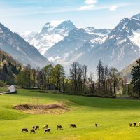 Tödi – Sergio J Lievano / Shutterstock