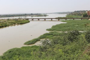 řeka Niger – BOULENGER Xavier / Shutterstock