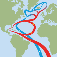 Golfský proud, schématické znázornění proudění – Peter Hermes Furian / Shutterstock