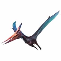 Pteranodon (3D rekonstrukce) – Warpaint / Shutterstock