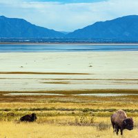 Velké Solné jezero – kavram / Shutterstock