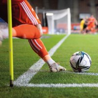 Roh – Dziurek / Shutterstock