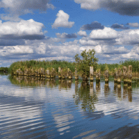 Řeka Peene – Stefan Pinter / Shutterstock