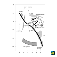 Proměnná hvězda: proměnné hvězdy v Hertzsprungově-Russellově diagramu – CoJeCo.cz (CC BY-SA 4.0)