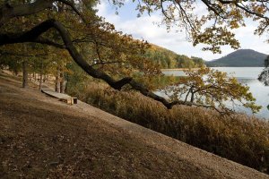 Máchovo jezero, pohled od obce Staré Splavy (20.10.2018) – Profimedia.CZ