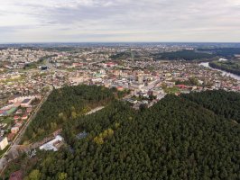 Alytus – Mantas_Bac / Shutterstock