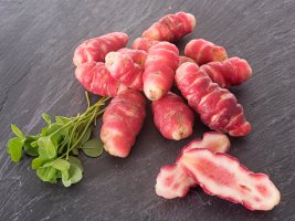 Šťavel hlíznatý (Oxalis tuberosa) a jeho jedlé hlízy – cynoclub / Shutterstock