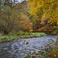 Řeka Moravice – Petr Szymonik / Shutterstock