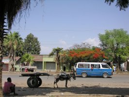 Arba Minch – Vlad Karavaev / Shutterstock