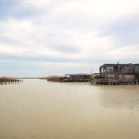 Neziderské jezero – Viliam.M / Shutterstock