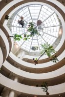 Interiér rotundy Guggenheimova muzea v New Yorku, 2025 – Profimedia.CZ