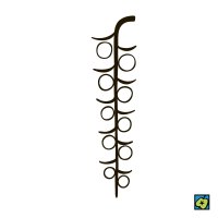 Jehněda, schematické znázornění druhu květenství – CoJeCo.cz, CC BY 4.0