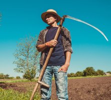 Kosa – ra66 / Shutterstock