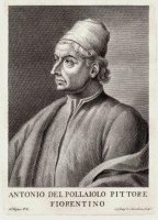 Antonio del Pollaiolo – Volné dílo