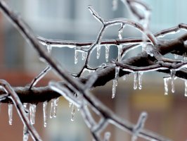 Rampouchy – Rafa G. Bonilla / Unsplash