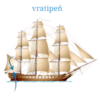 Vratipeň – elmm / Shutterstock, český popis CoJeCo.cz (CC BY-SA 4.0)