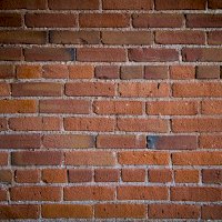 Cihlová zeď – Brady Frieden / Unsplash