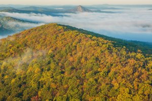 Ouachita – Damon Shaw / Shutterstock