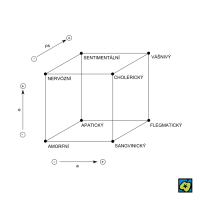 Vlastnosti a typy temperamentu podle G. Heymanse a E. Wiersmy: Model vychází ze souřadnic hypoteticky vzájemně nezávislých základních vlastností emocionality e, aktivity a a primárnosti ps – CoJeCo.cz (CC BY-SA 4.0)