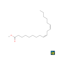 Kyselina linolová, strukturní 2D vzorec – typická omega-6 mastná kyselina s osmnácti uhlíky a dvěma dvojnými vazbami, první od šestého uhlíku na methylovém konci. – CoJeCo.cz (CC BY-SA 4.0)