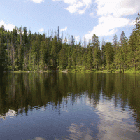 Prášilské jezero – Zdenek Krchak / Shutterstock