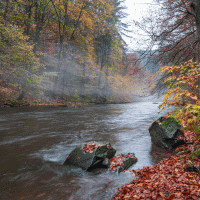 Řeka Metuje – jiri.sulcek / Shutterstock