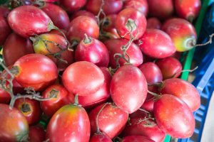 Jedlé plody rostliny Synsepalum dulcificum, Portugalsko – Ana del Castillo / Shutterstock