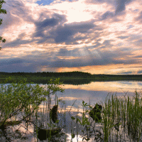 Jezero Topozero – Natalya Osipova / Shutterstock