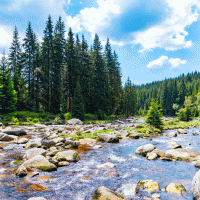 Řeka Jizera – Pyty / Shutterstock