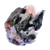 Desmín – Vladimir Dokovski / Shutterstock