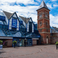 Stafford – simon hark / Shutterstock