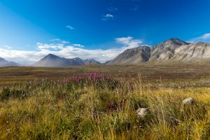 Čukotské pohoří – Konstantin Kopachinsky / Shutterstock