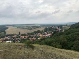 Obec Klentnice – jablko02 / Shutterstock