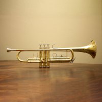 Trubka – Halacious / Unsplash