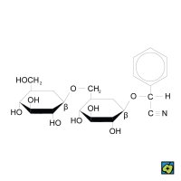 Amygdalin, 2D strukturní vzorec – CoJeCo.cz (CC BY-SA 4.0)