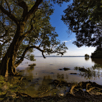 Tana – WitR / Shutterstock