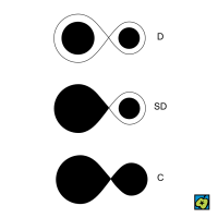 Třídění systémů těsných dvojhvězd: D oddělený systém (ani jedna ze složek nevyplňuje Rocheovu mez), SD polodotykový systém (jedna ze složek vyplňuje Rocheovu mez), C dotykový systém (obě složky vyplňují Rocheovu mez) – CoJeCo.cz (CC BY-SA 4.0)