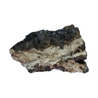 Psilomelan – Bjoern Wylezich / Shutterstock