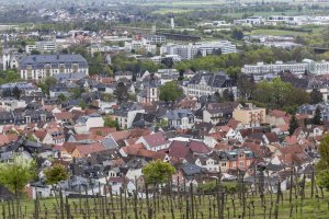 Bad Nauheim – Tobias Arhelge / Shutterstock